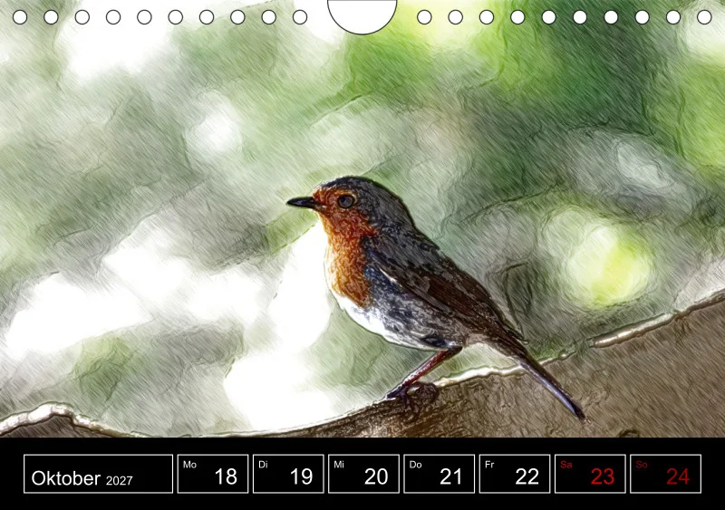 des oiseaux