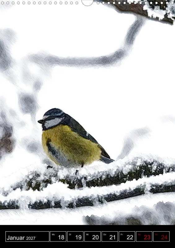 des oiseaux