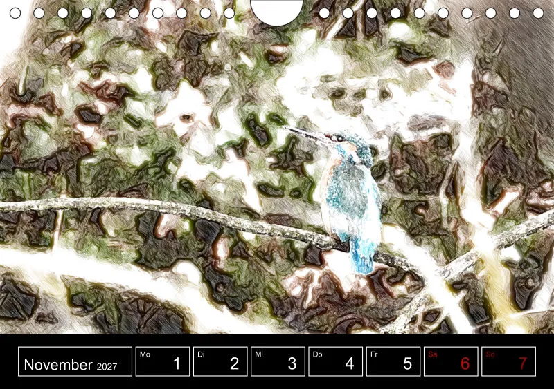 des oiseaux