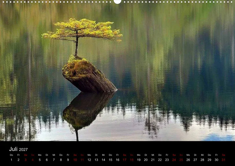 Szenen der Natur