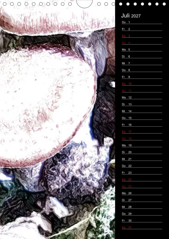 Champignons