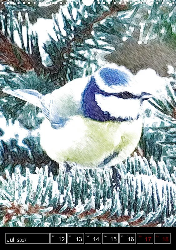 des oiseaux