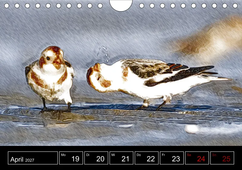 des oiseaux