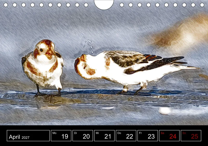 des oiseaux