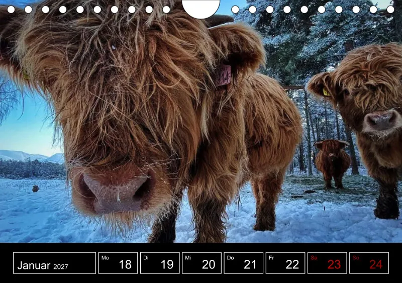 Highland Spirit