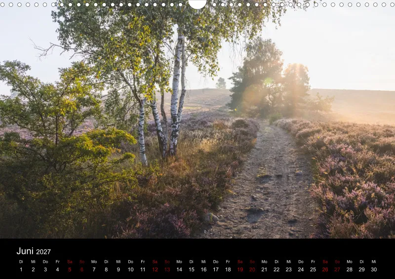 Die Lüneburger Heide