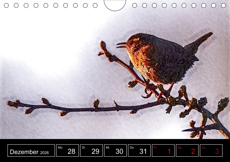 des oiseaux