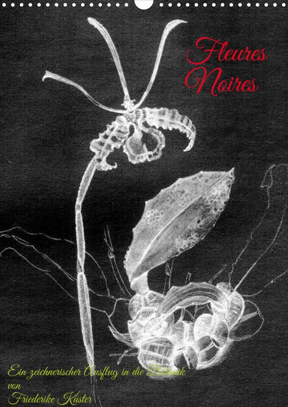 Fleures Noires(