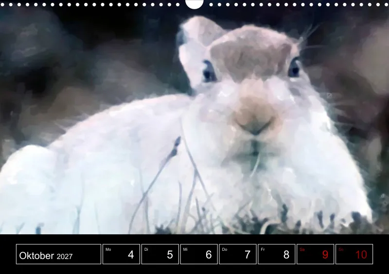 Scottish Wildlife