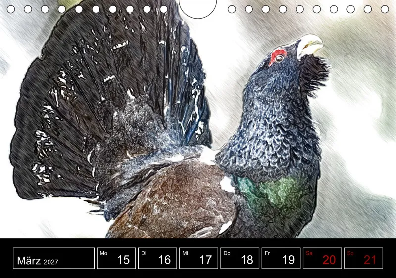 des oiseaux