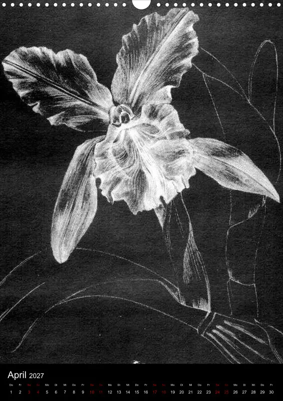 Fleures Noires(