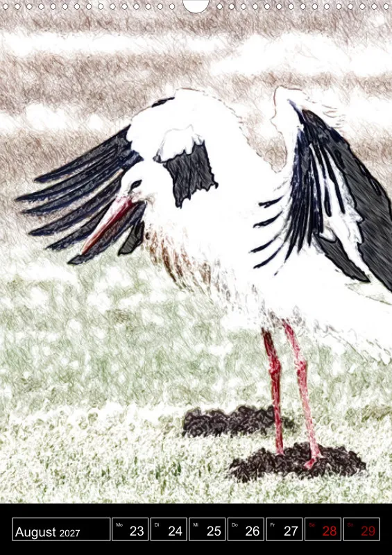 des oiseaux