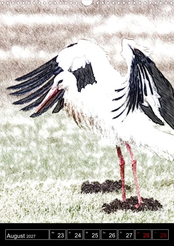 des oiseaux