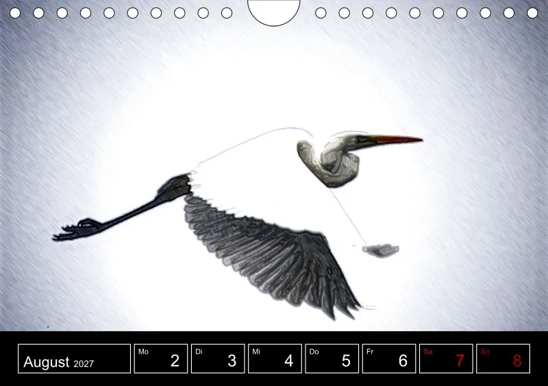 des oiseaux