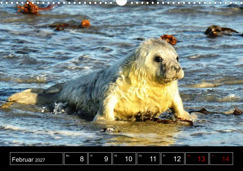 Animaux d'Europe