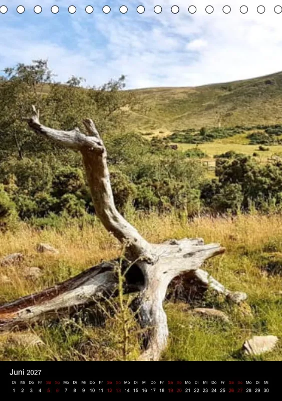 Nature Dreams