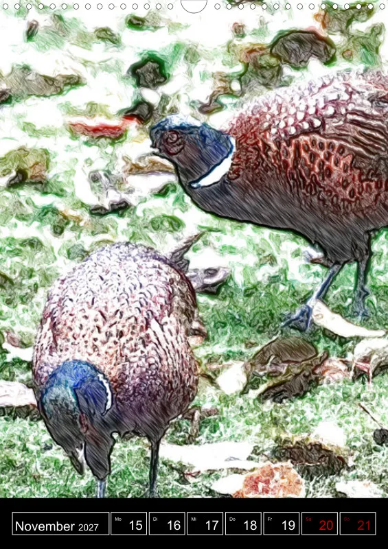 des oiseaux