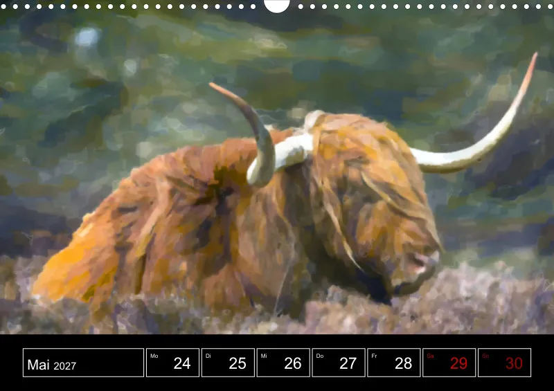 Scottish Wildlife