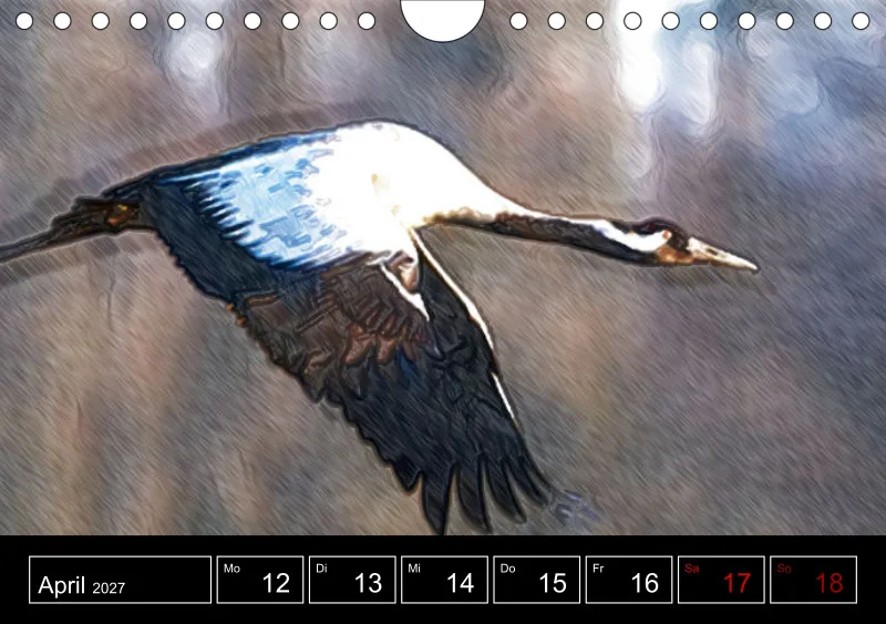 des oiseaux