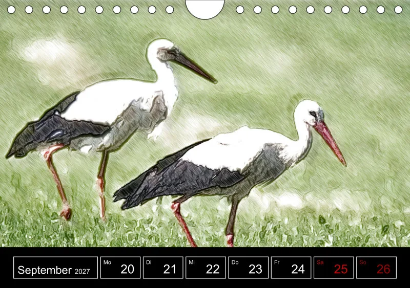 des oiseaux