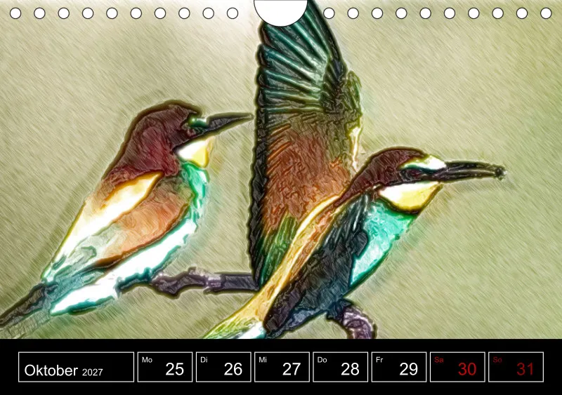 des oiseaux