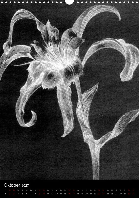 Fleures Noires(
