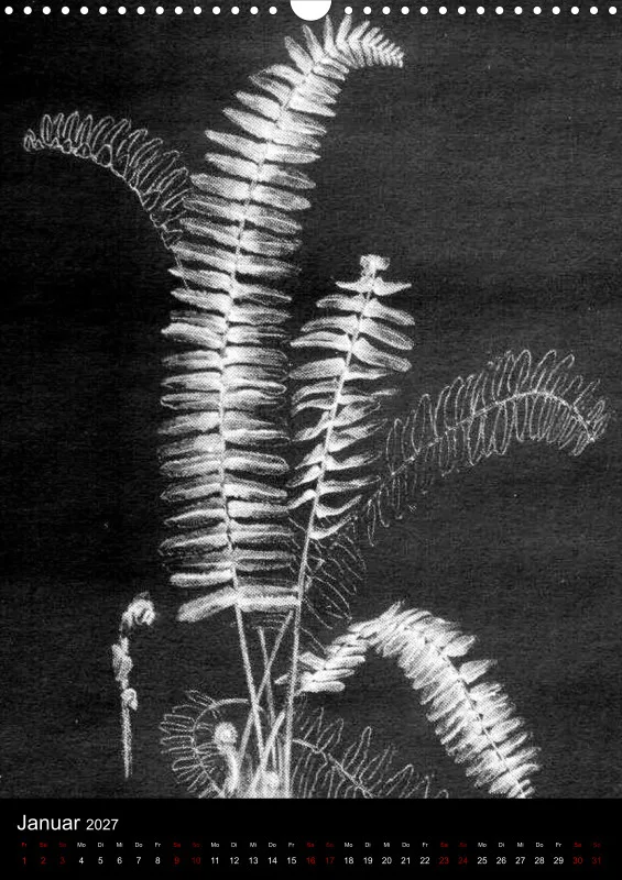 Fleures Noires(