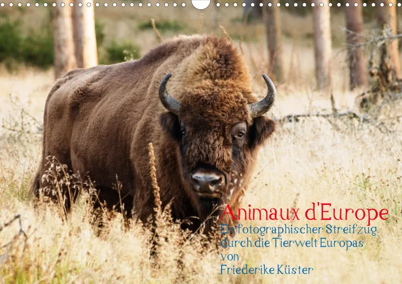 Animaux d'Europe