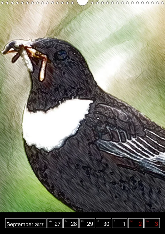 des oiseaux