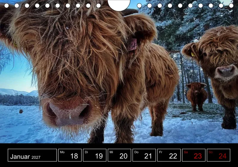 Highland Spirit