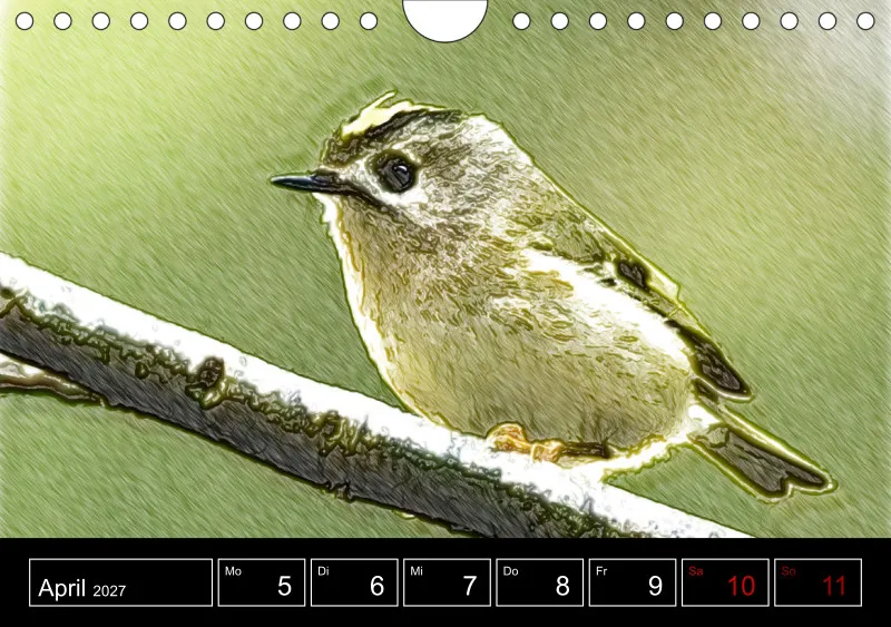 des oiseaux