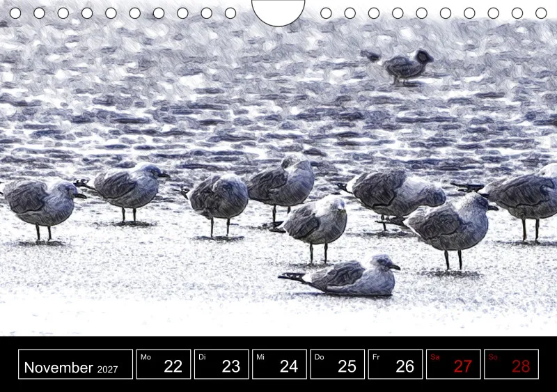 des oiseaux