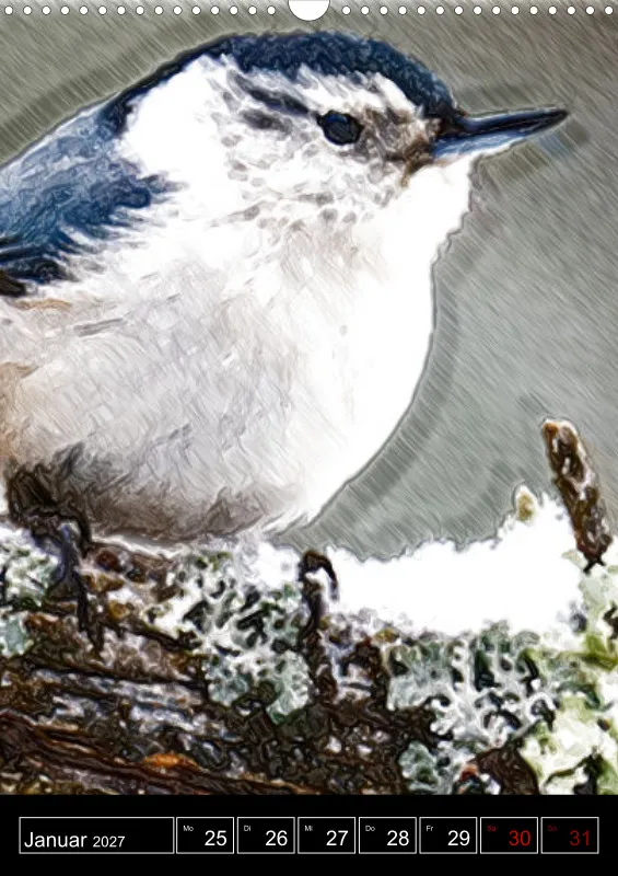 des oiseaux