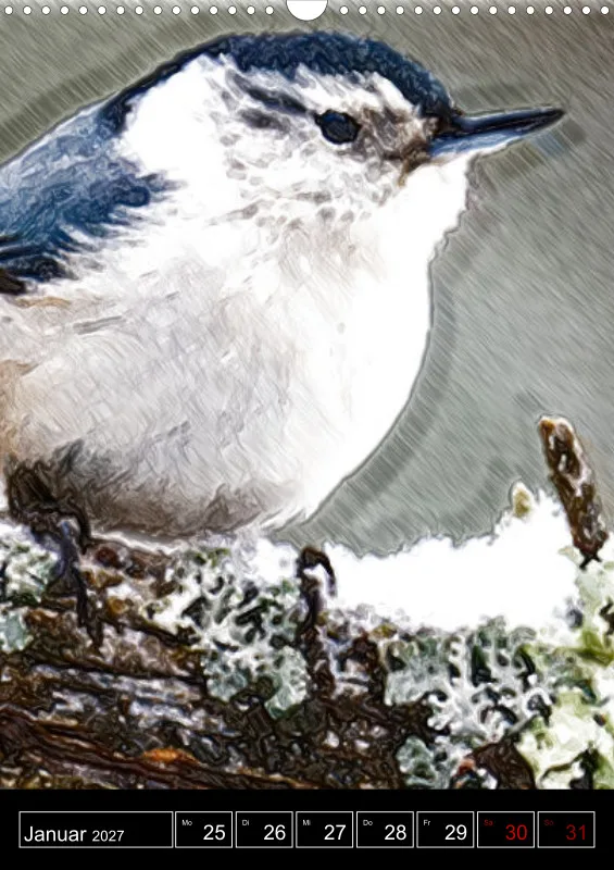 des oiseaux