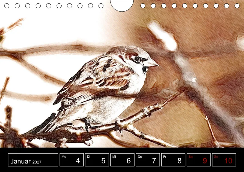 des oiseaux