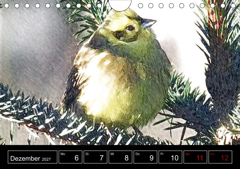 des oiseaux