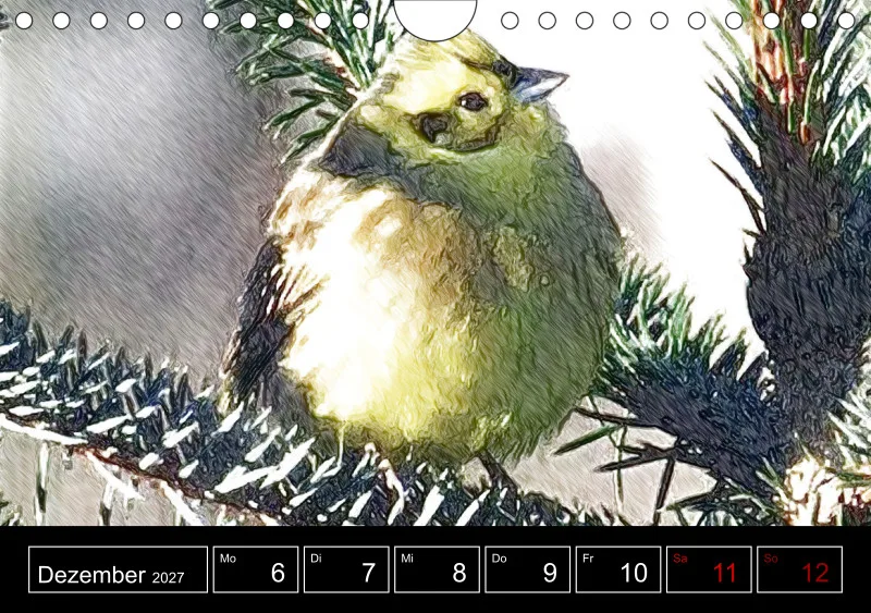 des oiseaux