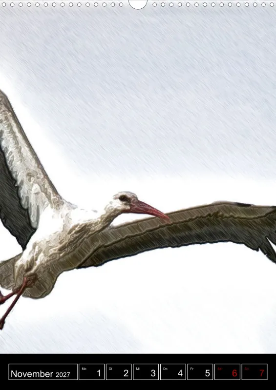 des oiseaux