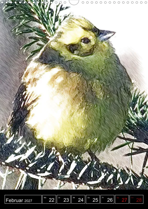 des oiseaux