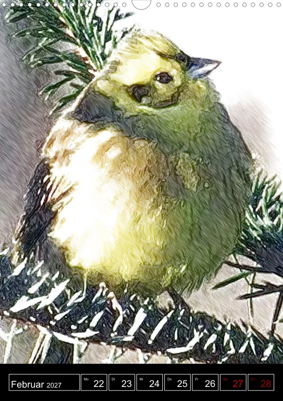 des oiseaux
