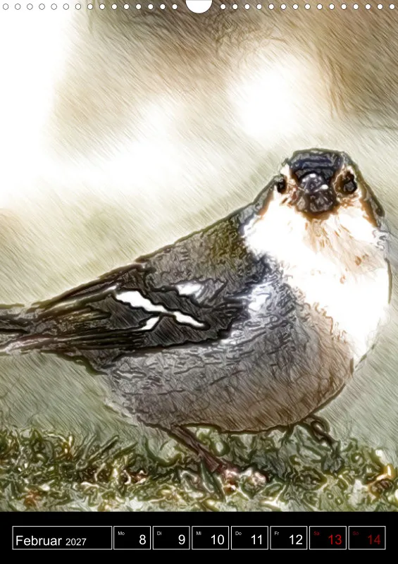 des oiseaux
