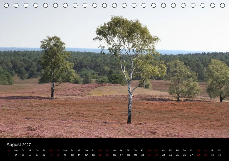 Die Lüneburger Heide