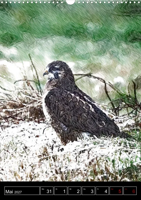 des oiseaux