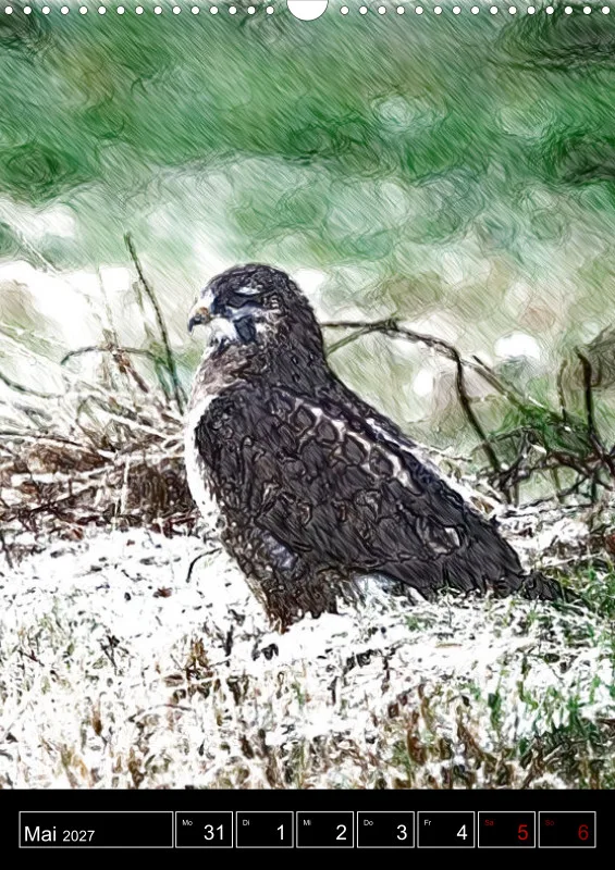 des oiseaux
