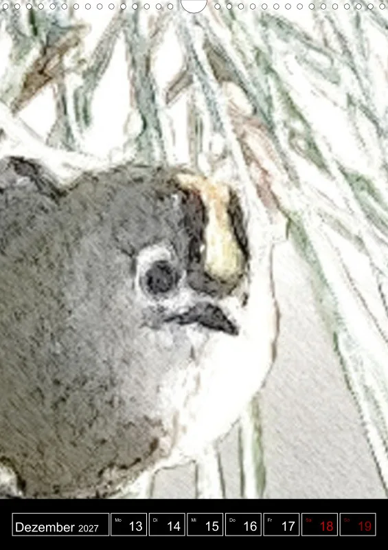 des oiseaux