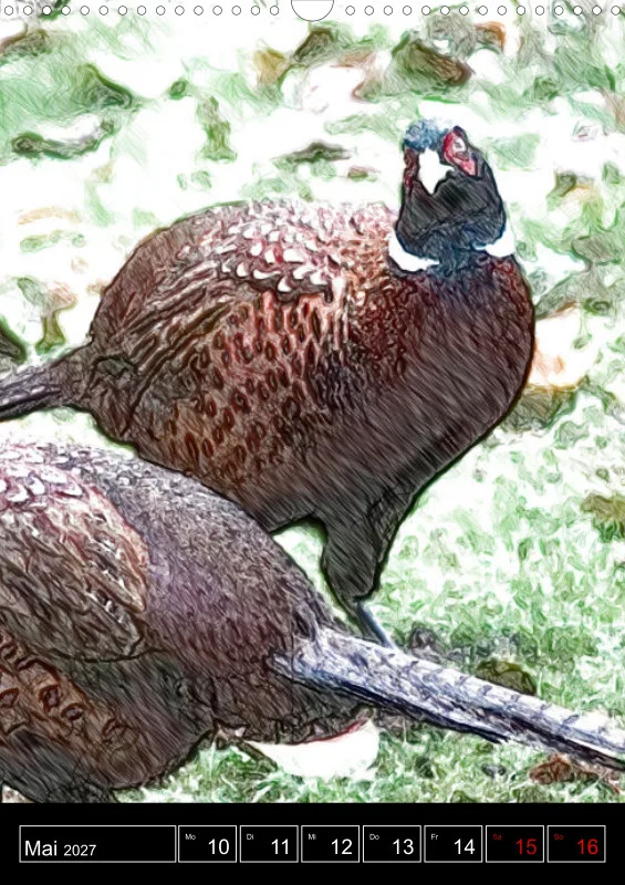 des oiseaux