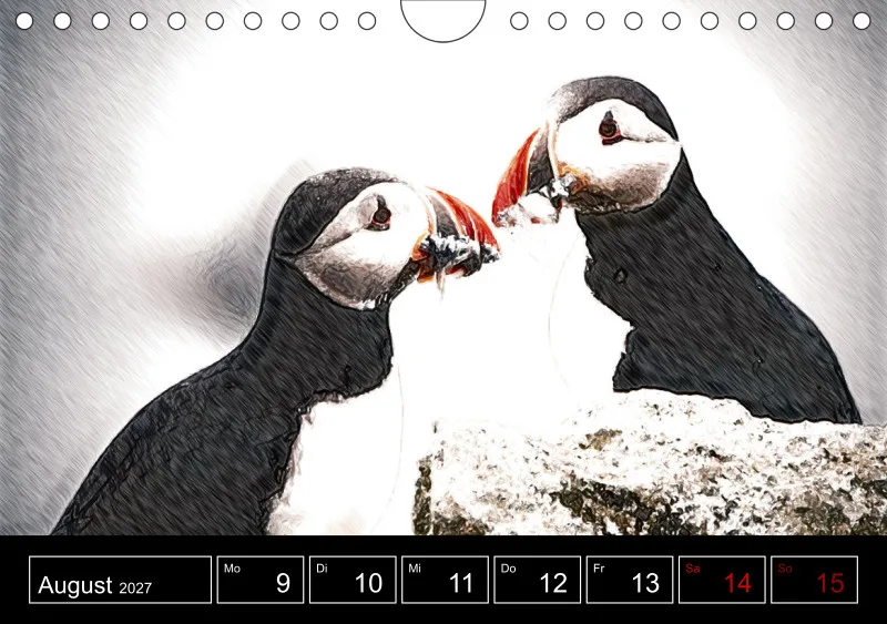 des oiseaux
