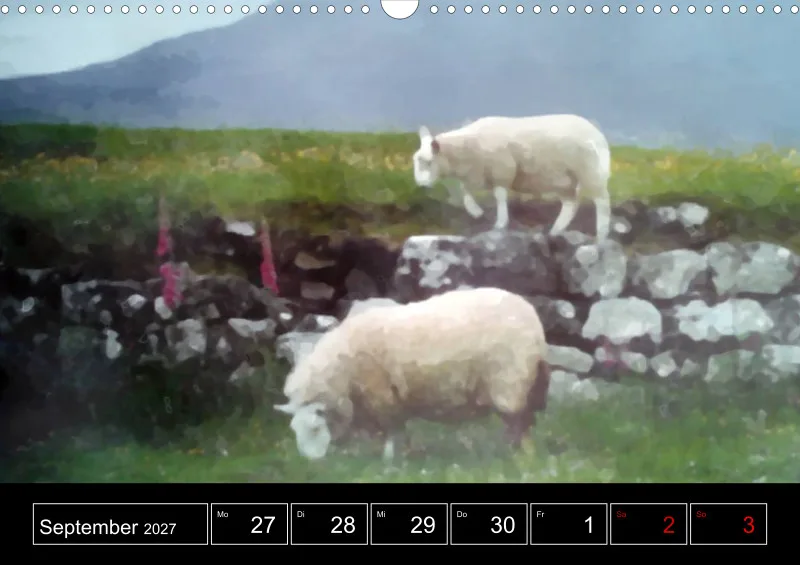 Scottish Wildlife