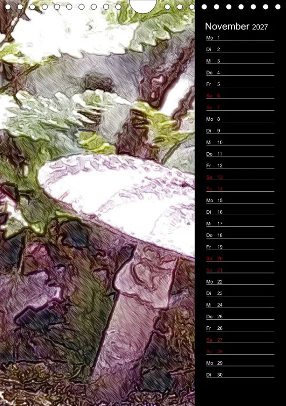Champignons