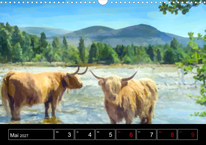 Scottish Wildlife